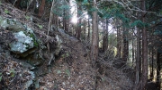 林業用の作業道