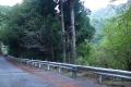 早戸川林道