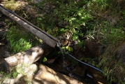 小屋脇の水場
