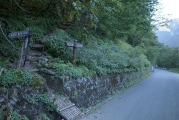 舗装された林道