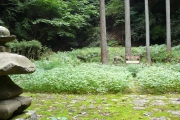 浄発願寺の跡