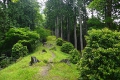紅葉の尾根道
