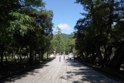 本殿へ続く石畳の参道