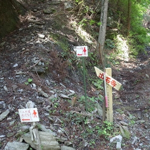ここから山道へ