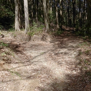 標識に従って