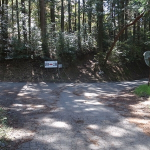 ここから山道へ