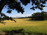 能因島からの眺め