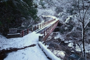 谷底の川