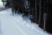 再び山道へ