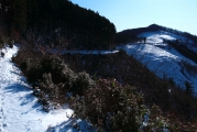 右下には本来の登山道