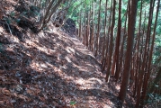 快適な山道