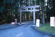本宮裏側の鳥居