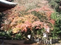 宝篋印塔                                                             