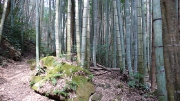 風情のある地道