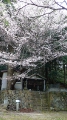 尼将軍供養塔