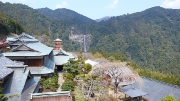 宿坊尊勝院