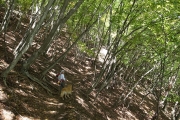 緩やかでフラットな登山道