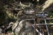 次の分岐ポイント
