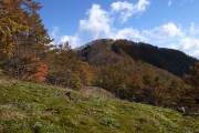 暫しお昼寝