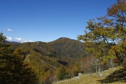 雲取山への登山道