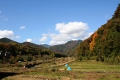 櫟山と栗の木洞