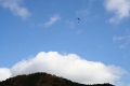 上空にはパラグライダー