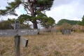 櫟山頂上