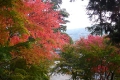 紅葉がとても綺麗