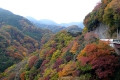 錦秋の県道710号線
