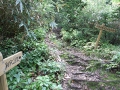 旧登山道