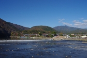 大堰川
