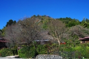 五山送り火（鳥居型）