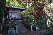 紅葉はもう終わり