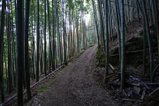 竹林の心地良い道