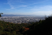 京都市南部を一望