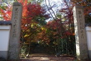 浄住寺