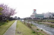 水無川に沿って権現山へ
