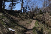 尾根に合流