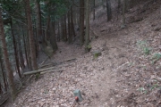紛らわしい分岐