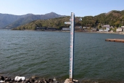 水位が低下