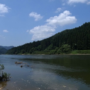 蕩々と流れて行く