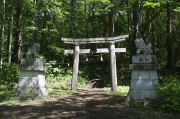 鳥居を潜って登山道へ
