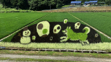 田んぼアート