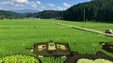 森吉山