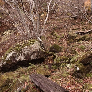 高雄口登山道