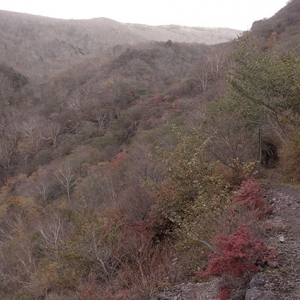 静かな山歩き