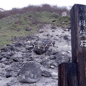 殺生石
