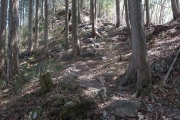 地道の登山道