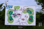 県立大野山乳牛育成牧場