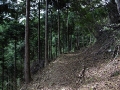 歩き易い登山道